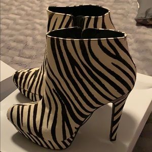 SZ 8 Cow print super sexy Steve Madden Booties